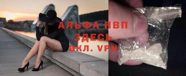 спиды Дмитриев