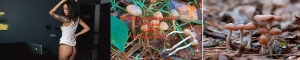 круглые Дмитров