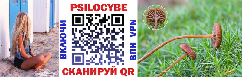 МЕГА зеркало  Калач  Псилоцибиновые грибы прущие грибы  наркотики 